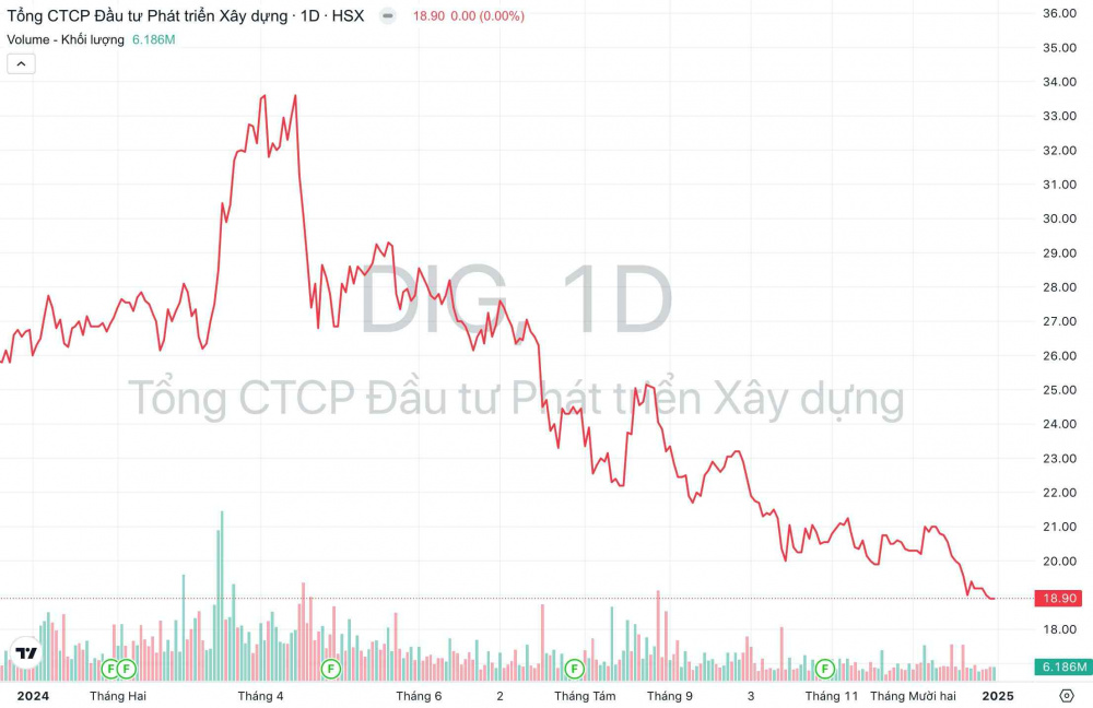 Khối lượng giao dịch và xu hướng giá cổ phiếu DIG của DIC Corp trong năm 2024 vừa qua.